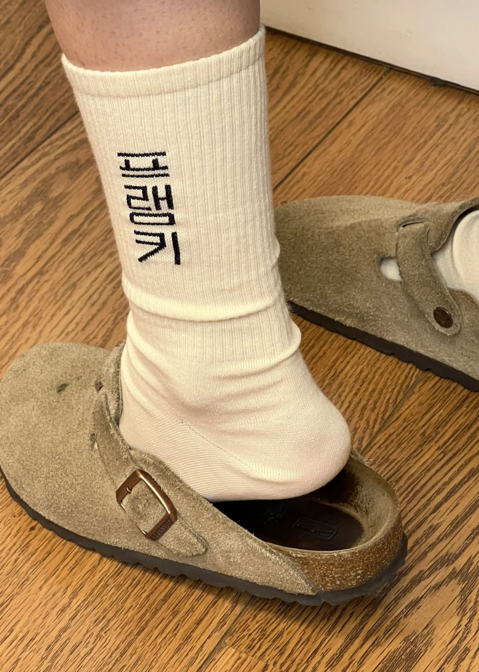 Frankie In Korean Ribbed Socks