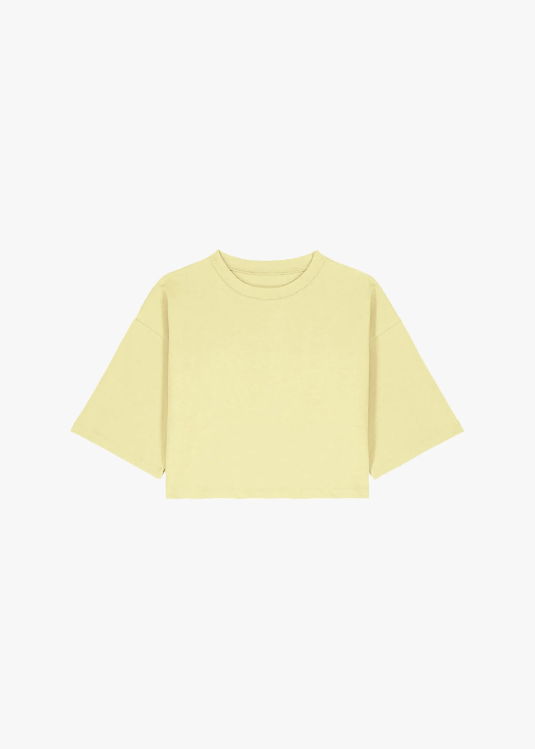 Karina Cropped T-Shirt
