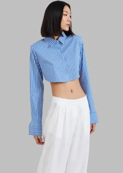 Phoenix Cropped Shirt