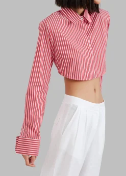 Phoenix Cropped Shirt