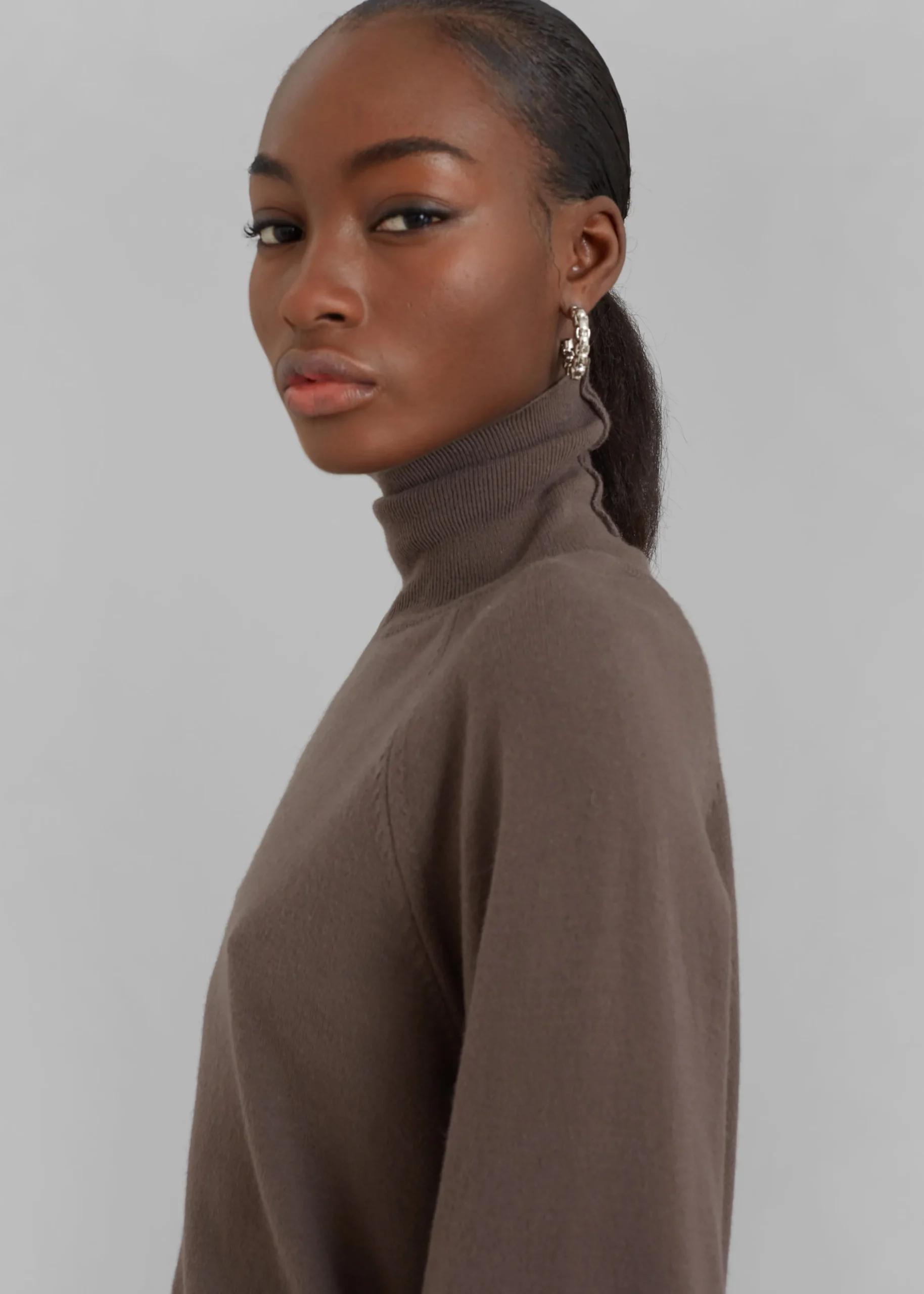 Variel Turtleneck Sweater